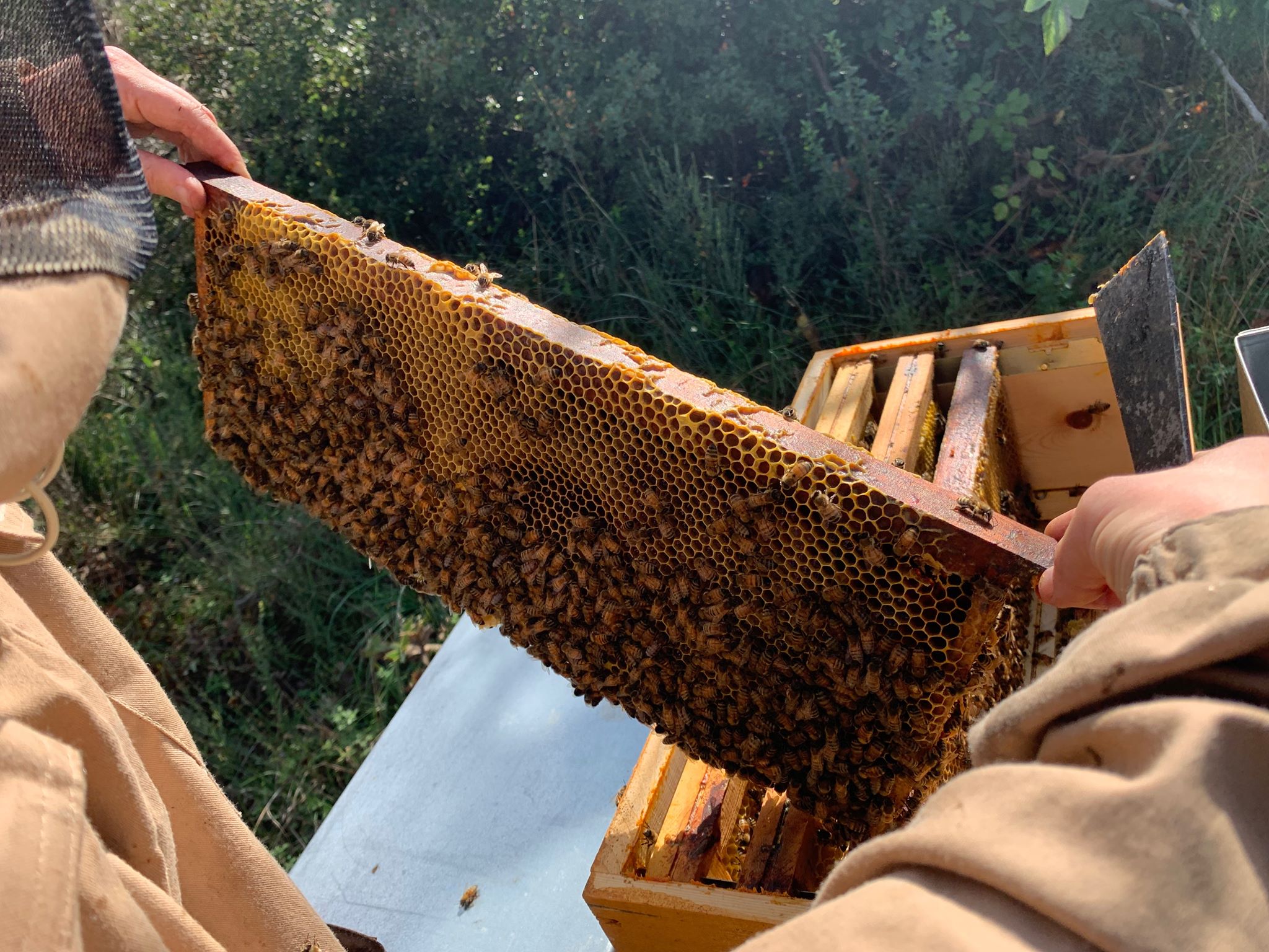 Les méthodes de travail de Maison Bee